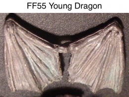 Cit-FF55-YoungDragonWings.jpg